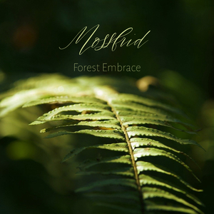 丝袜内衣大婶在线观看
